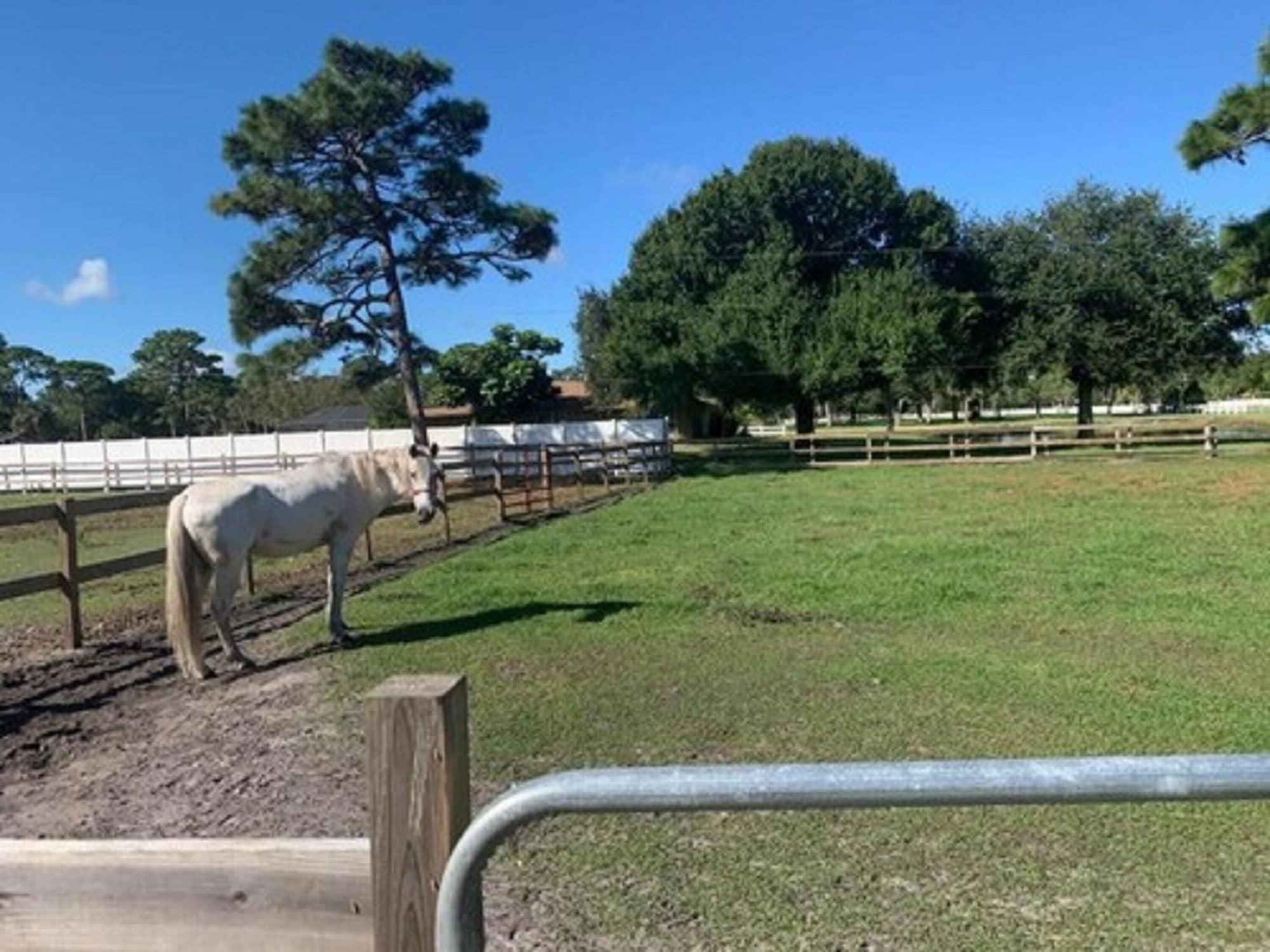 Oyo Family Ranch At Melbourne Fl Hotel Bagian luar foto